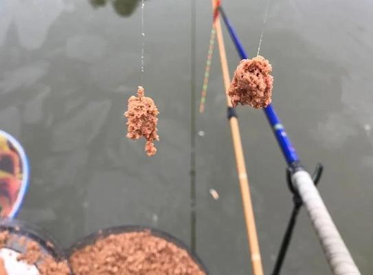 上海立冬钓鱼技巧（秋末冬初）