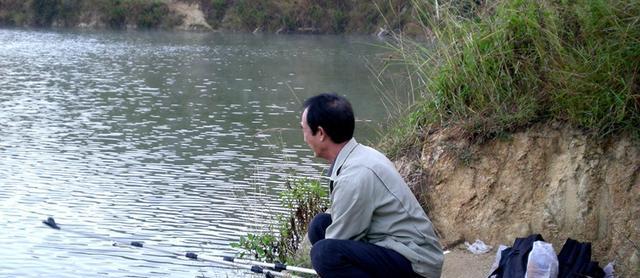 探秘上海野钓钓鲤鱼的技巧（揭秘上海钓鲤鱼的秘籍和经验分享）