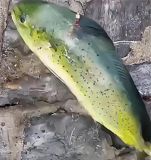 深海鱼线钓鱼技巧（深入探索深海鱼线的钓鱼技巧和窍门）