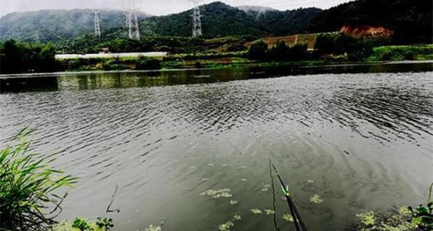 深秋天野钓技巧与方法（掌握好“落钩点”技巧解析）
