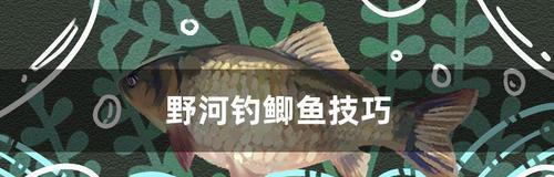 深秋野河钓鱼技巧（选钓位和时间）