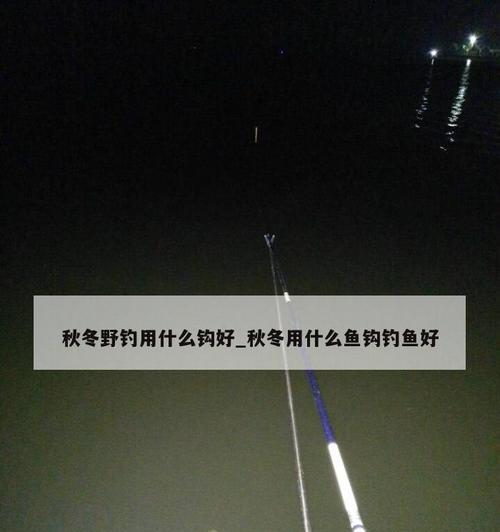 甩鱼钩技巧与方法（掌握甩鱼钩的关键技巧）