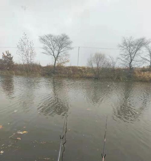 双杆水库钓鱼技巧——提升钓鱼成功率的关键（双杆水库钓鱼技巧大揭秘）