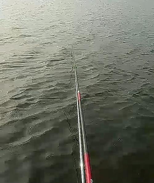霜降钓鱼绝密技巧（揭秘霜降时钓鱼的绝佳策略）
