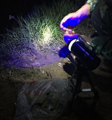 霜降前后夜钓鲤鱼技巧（揭秘夜钓鲤鱼的捕获秘籍）