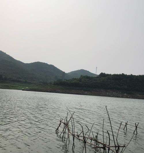 水库钓鱼技巧（掌握正确的水库钓鱼技巧）