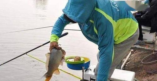 四海钓鱼飞铅技巧（掌握飞铅技巧）