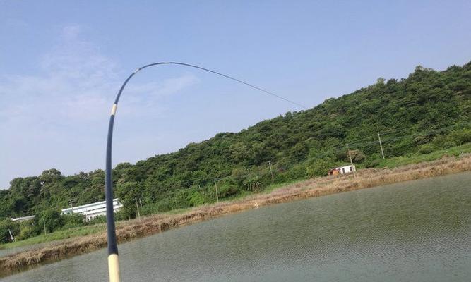 四海钓鱼手杆钓鲢鳙技巧全解析（掌握技巧）