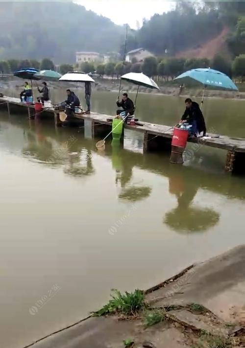 四月初黑坑钓鱼技巧（揭秘钓鱼高手的绝技）