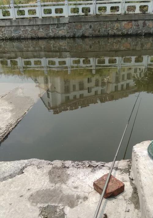 苏州吴中护城河钓鱼技巧（水中世界的钓鱼秘籍）
