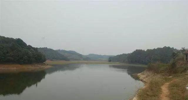 宿鸭湖林场钓鱼技巧（探秘宿鸭湖林场上的顶级钓鱼经验）