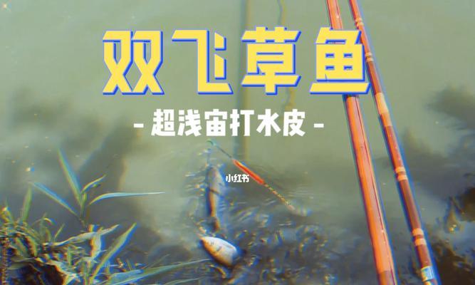 塑料瓶钓鱼技巧（利用废弃塑料瓶轻松捕鱼）