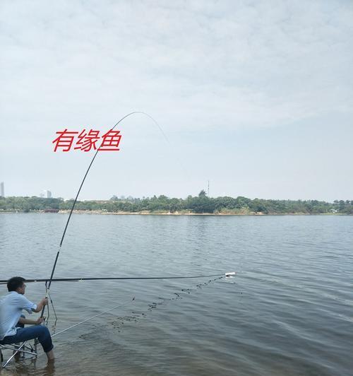 台钓不打窝技巧教学（轻松掌握台钓技巧）
