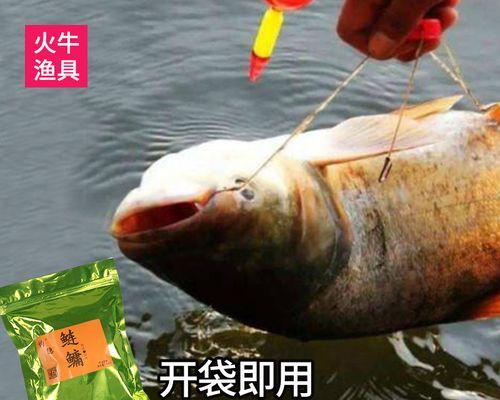 台钓鲢鳙技巧教程（从入门到精通）