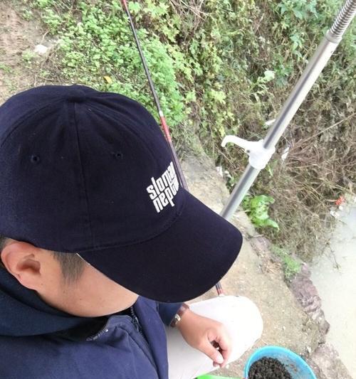深水钓鲫鱼的技巧（以台钓鲫鱼的高效方法）