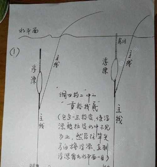 台钓线组搭配技巧（提升钓鱼成功率的关键）
