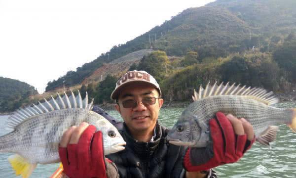 利用碳酸饮料钓鱼的绝妙技巧（用碳酸饮料钓鱼）