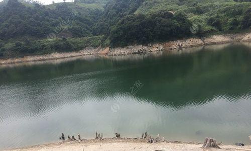 唐家坝水库钓鱼技巧与方法（享受钓鱼乐趣）