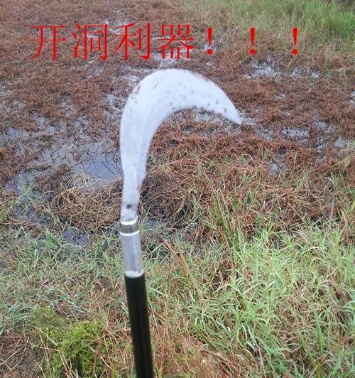 掏草洞钓鱼的技巧（技巧）