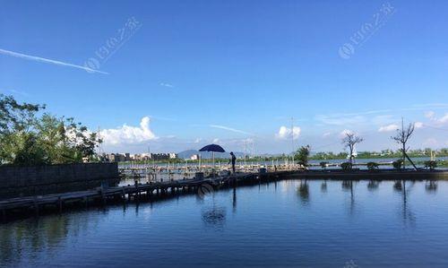 夏季海钓黑坑钓鱼技巧（畅享夏日海钓乐趣）
