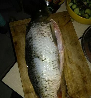 夏季黑坑夜钓鱼技巧（揭秘夏季黑坑夜钓鱼的绝密技巧）