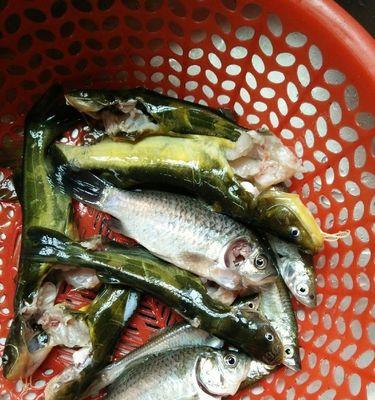 夏季黄骨鱼钓鱼技巧大揭秘（夏季黄骨鱼捕捉窍门与经验分享）