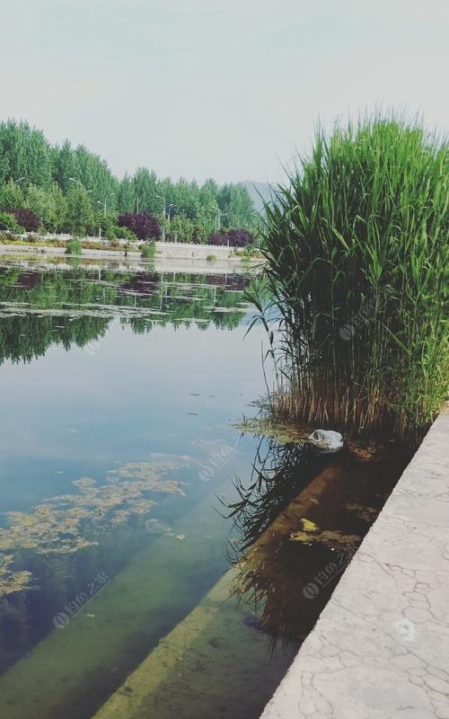 夏季高湿度下钓鱼的技巧（应对湿度挑战）
