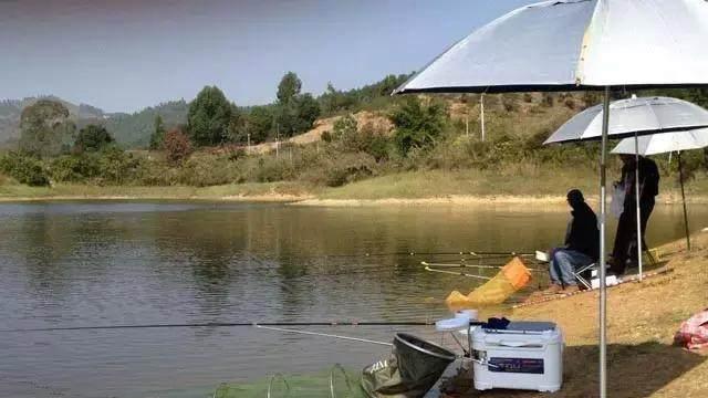 夏季晴天钓鱼技巧（怎样在夏季晴天充分利用钓鱼技巧）