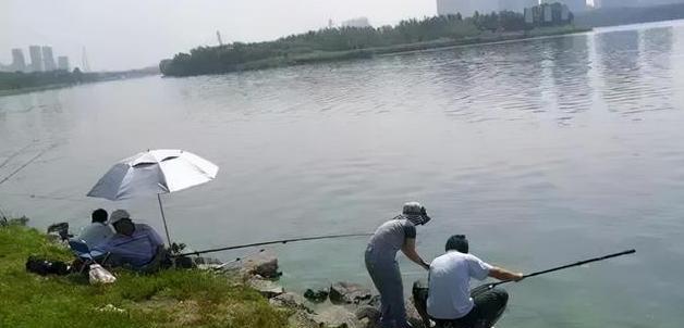夏季深水河钓鱼技巧（钓鱼技巧与经验分享｜夏季深水河鱼群密度高）