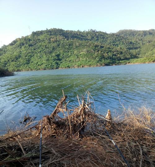 夏季水库钓鱼技巧（三个小技巧帮你在夏季水库钓鱼中提高钓鱼成功率）