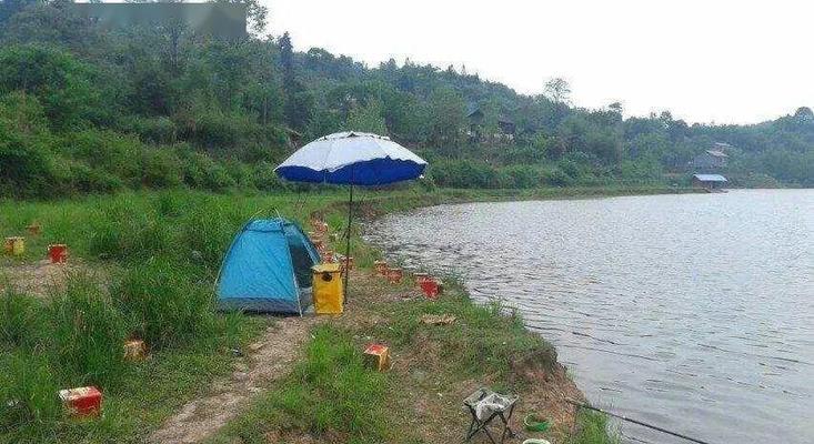 夏季水库钓鱼的技巧（夏季水库钓鱼的技巧与注意事项）