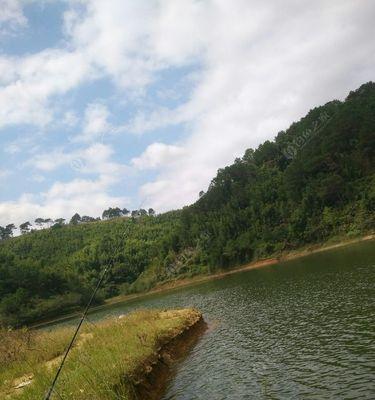 夏季水库野钓大罗非鱼的技巧与方法（揭秘夏季水库钓大罗非鱼的窍门）