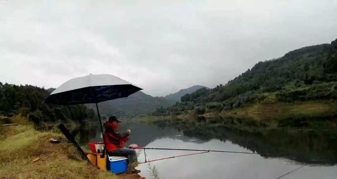 夏季雾天钓鱼的技巧（解密夏季雾天钓鱼的高招）
