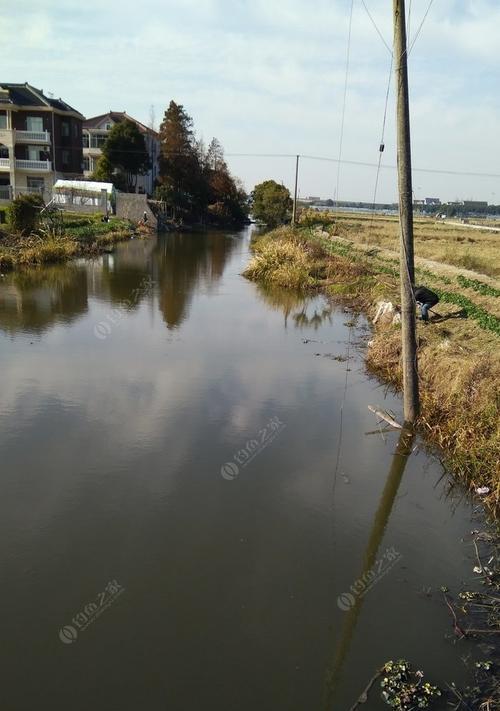 夏季西南季风下的钓鱼技巧（掌握风向与鱼情）