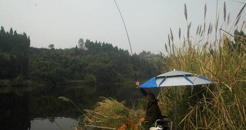 夏季下雨钓鱼技巧（湿润环境中寻找完美的钓位）