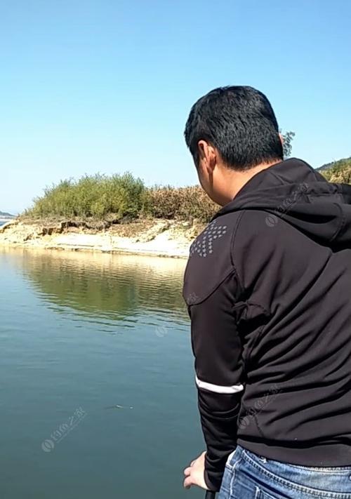 夏季野钓草鱼技巧教程（草鱼钓法全解析）