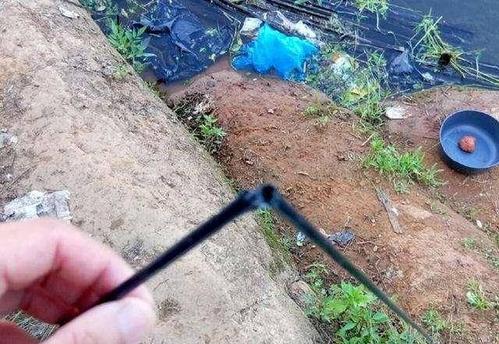 夏季野钓海竿钓鱼技巧（掌握有效技巧）