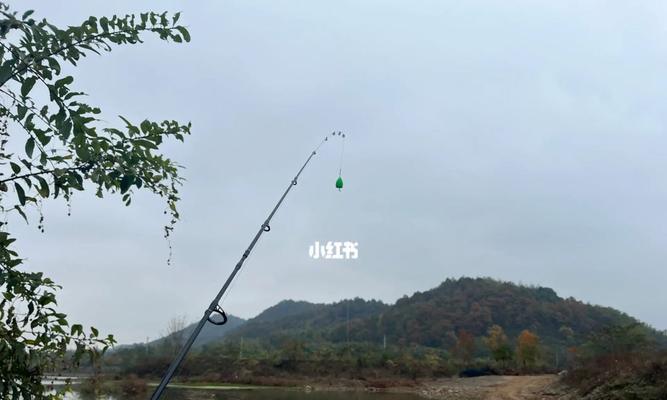 夏季野钓实战技巧（玩转夏日钓鱼高效技巧大揭秘）