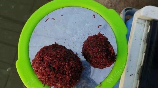 夏雨垂钓的技巧与乐趣（夏雨中钓鱼的无口技巧和经验分享）