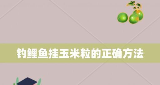 夏日玉米钓鱼乐趣无穷（探秘玉米钓鱼的技巧与经验）