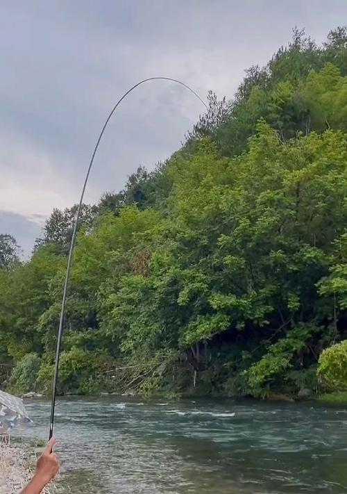 夏天涨水钓鱼技巧（掌握一招）
