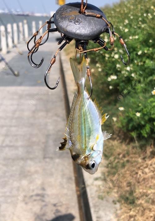 半咸淡水河流钓鱼技巧（掌握流域特点）