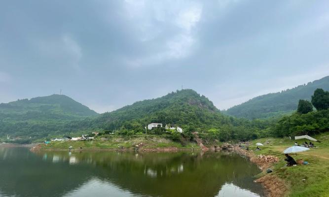 眉山钓鱼技巧（提升钓鱼技巧）