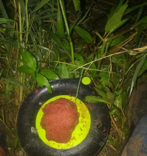 夜钓鲫鱼的技巧和方法（掌握钓点选择）