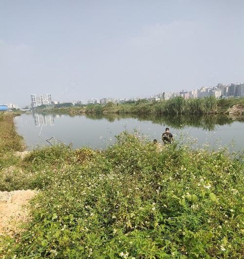 野钓黄蜂鱼技巧（小河边的钓鱼宝典）