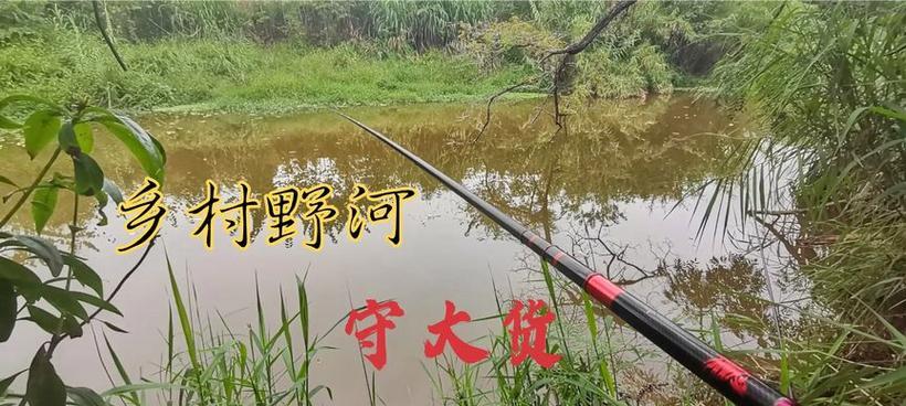 小河沟钓鱼技巧全解析（让你成为小河沟钓鱼高手的秘诀）