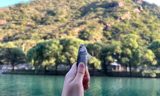 崖边钓鱼的技巧与方法（钓鱼新手必备）
