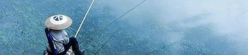 羊肉粉钓鱼打窝的方法和技巧（以羊肉粉为饵）