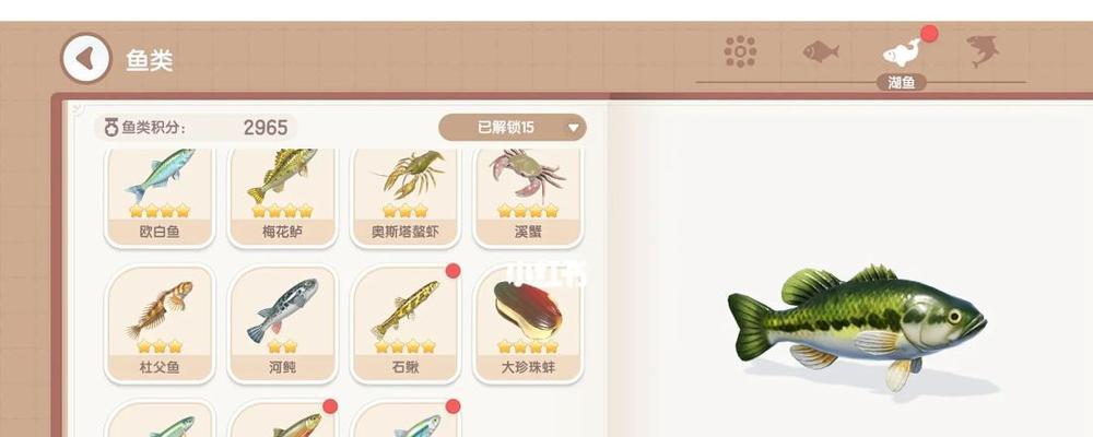 钓鱼技巧（掌握蚌塘钓鱼技巧）