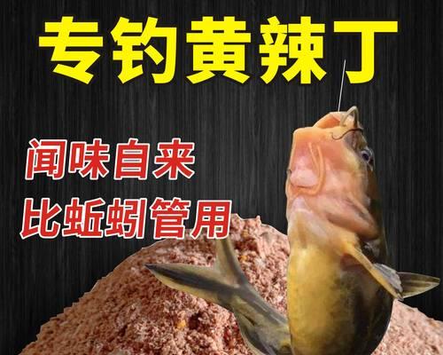 以野钓刺鱼溜鱼的技巧与方法（捕捉美味的刺鱼）
